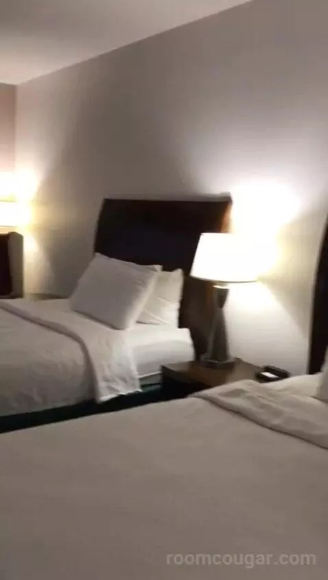 Double Room with Two Double Beds (#114) bed picture #4