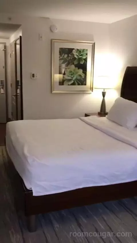 King Room (#201) bed picture #5