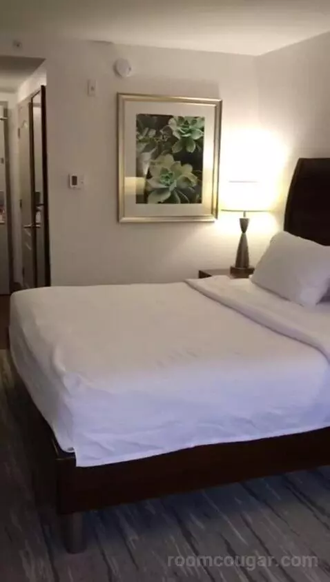 King Room (#201) bed picture #6