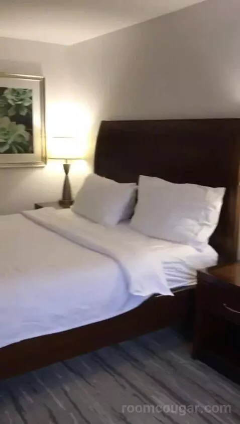King Room (#201) bed picture #7