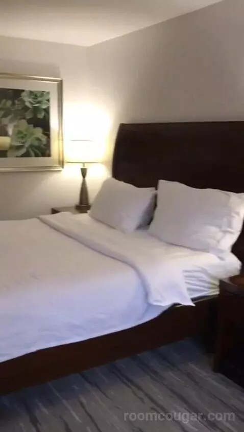 King Room (#201) bed picture #8