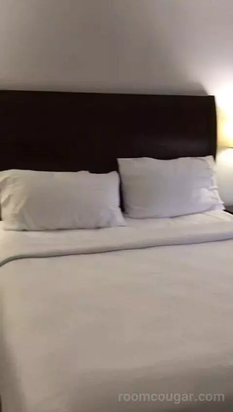 King Room (#201) bed picture #2