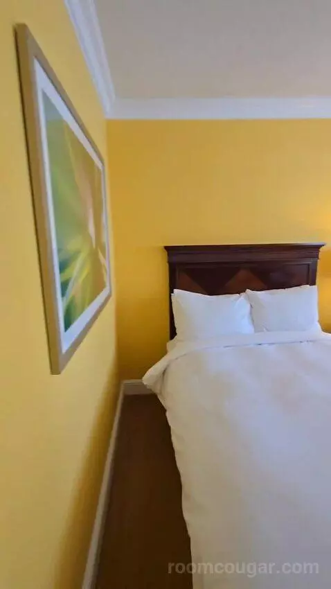 Guest Room with Two Double Beds and City View (#1810) bed picture #1