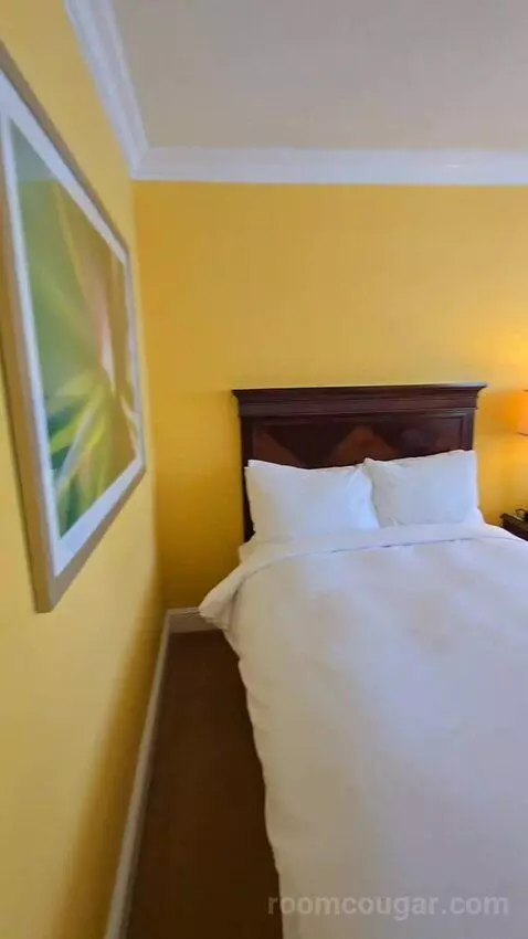 Guest Room with Two Double Beds and City View (#1810) picture #12