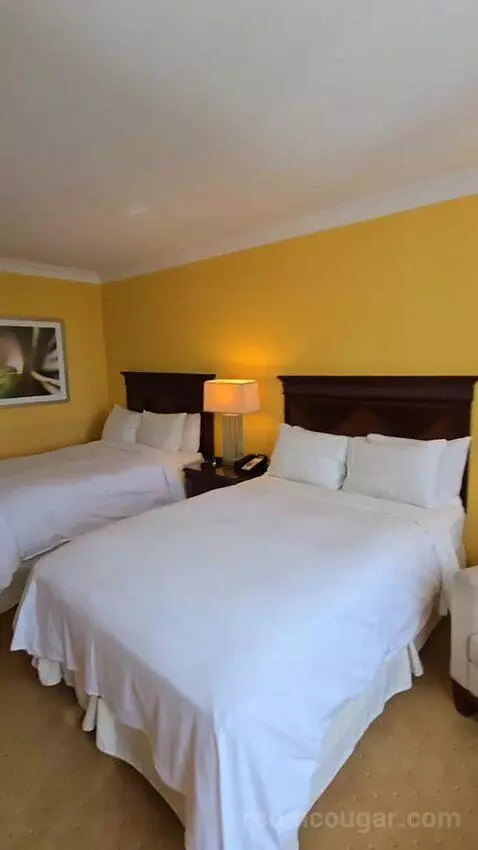 Guest Room with Two Double Beds and City View (#1810) bed picture #9