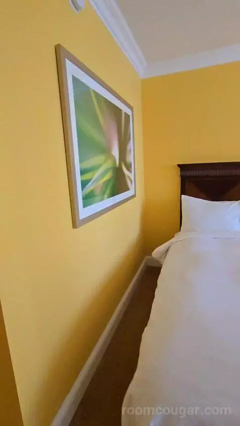 Guest Room with Two Double Beds and City View (#1810) bed picture #12