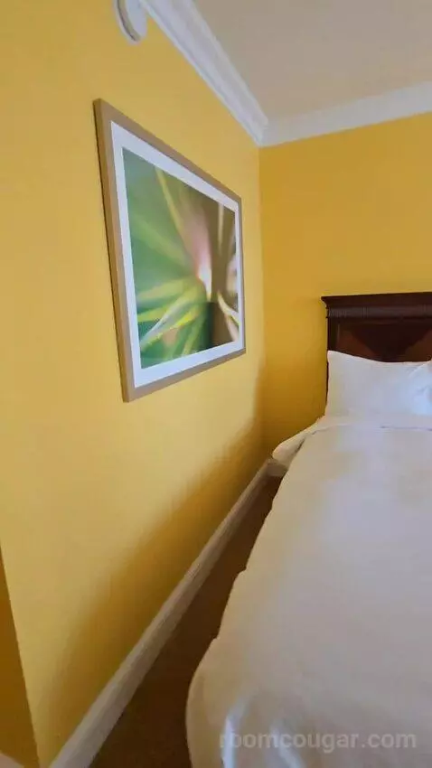 Guest Room with Two Double Beds and City View (#1810) picture #21