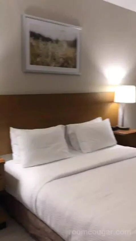 King Room with Adapted Tub - Mobility Accessible (#132) bed picture #9
