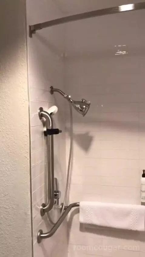 King Room with Adapted Tub - Mobility Accessible (#132) bathroom picture #4