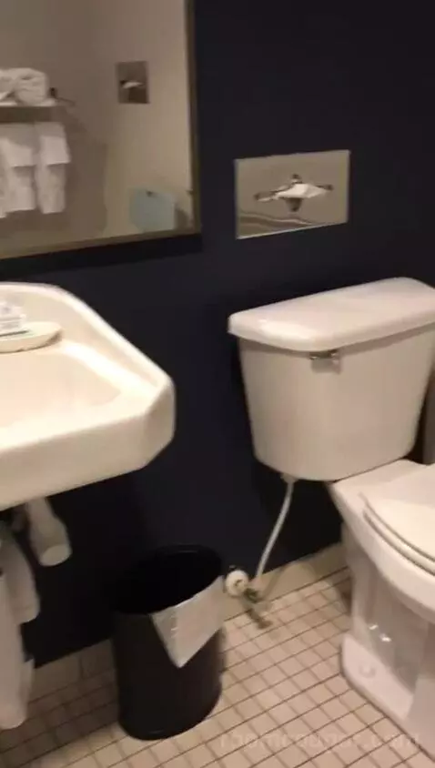King Room with Adapted Tub - Mobility Accessible (#132) bathroom picture #7