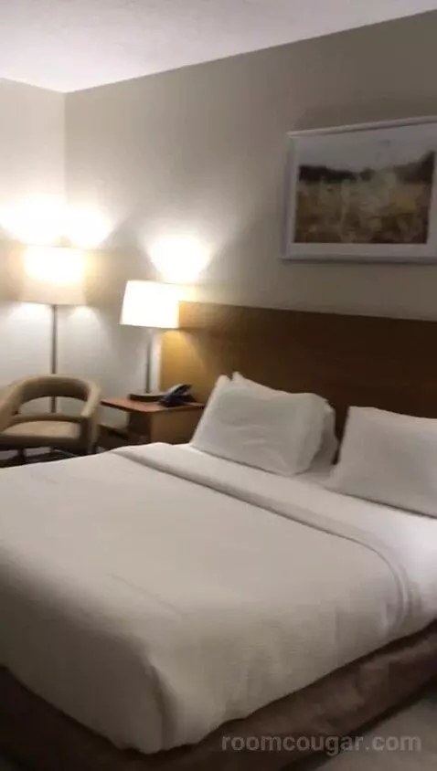 King Room with Adapted Tub - Mobility Accessible (#132) bed picture #6