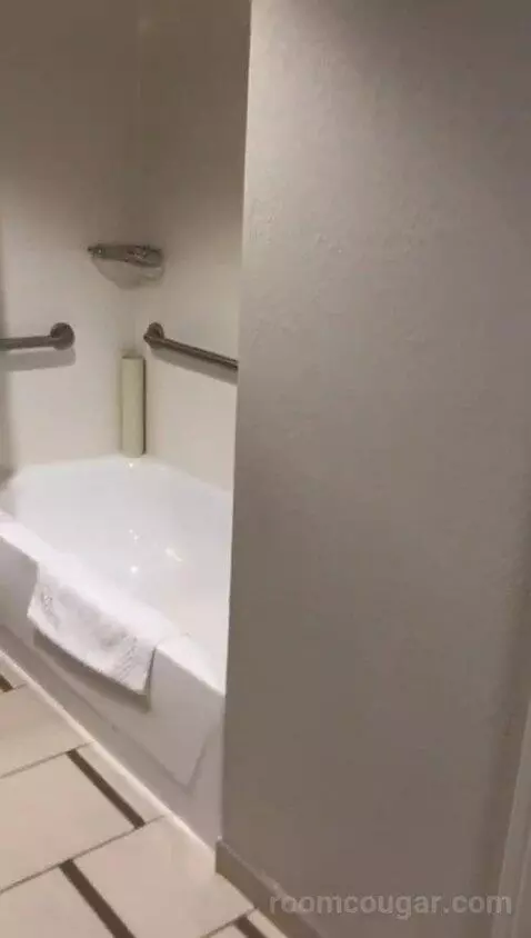 Queen Room with Two Queen Beds - Hearing Accessible (#234) bathroom picture #1