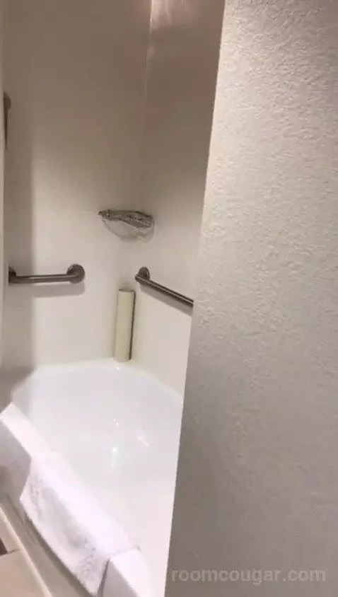 Queen Room with Two Queen Beds - Hearing Accessible (#234) bathroom picture #2