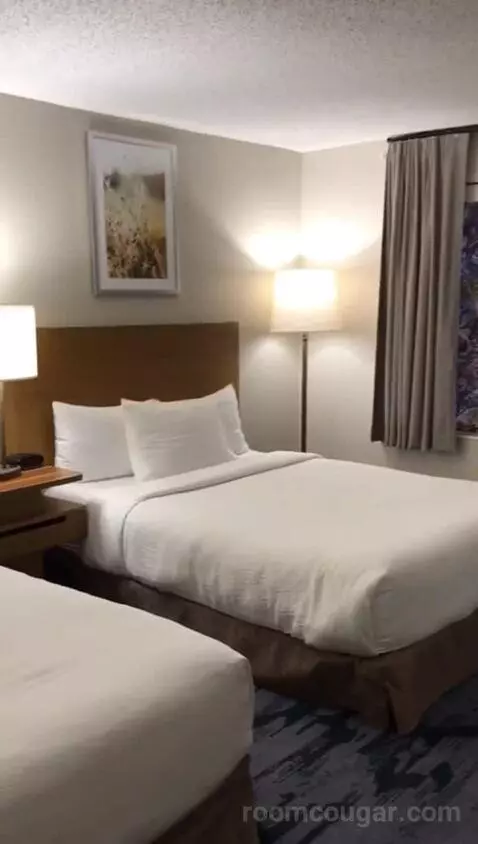 Queen Room with Two Queen Beds - Hearing Accessible (#234) bed picture #3