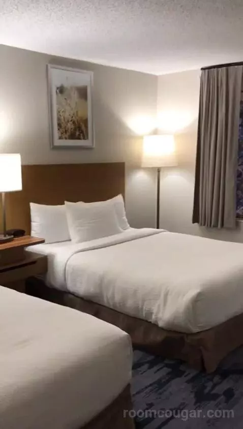Queen Room with Two Queen Beds - Hearing Accessible (#234) bed picture #4
