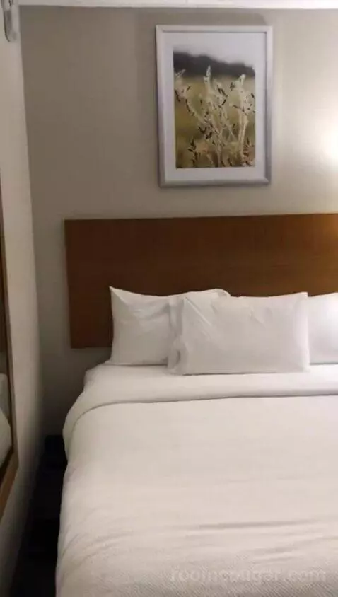 Queen Room with Two Queen Beds - Hearing Accessible (#234) bed picture #5