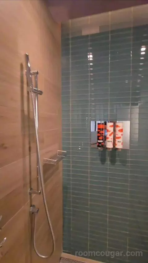 Urban King Room (#2413) bathroom picture #5