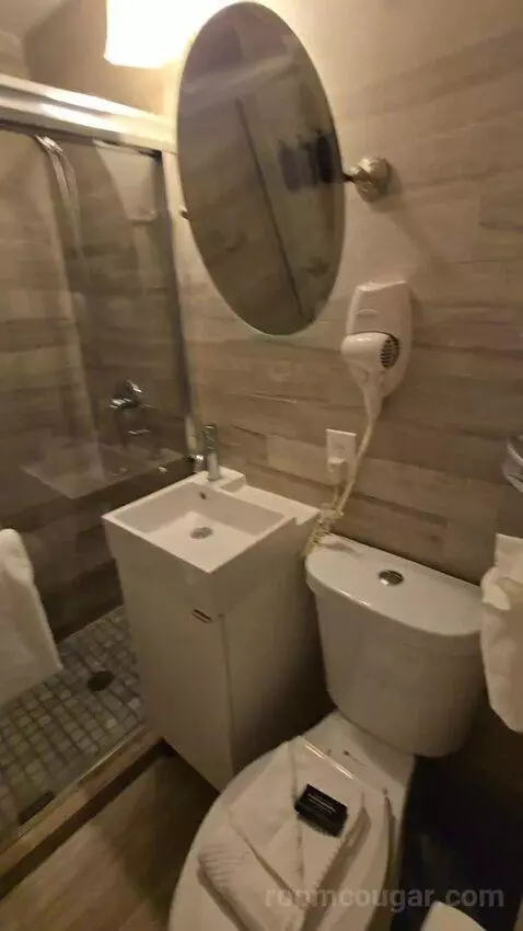 Deluxe Double Room (#106) bathroom picture #2