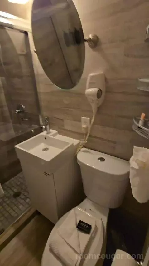 Deluxe Double Room (#106) bathroom picture #3