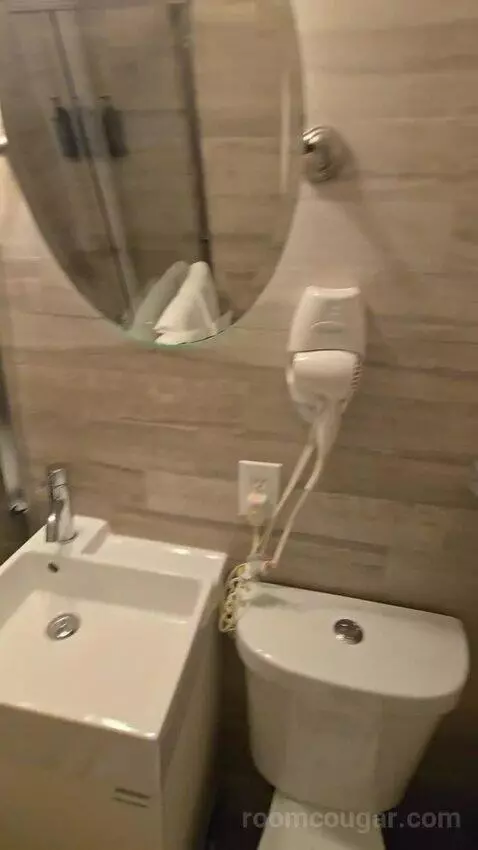 Deluxe Double Room (#106) bathroom picture #4