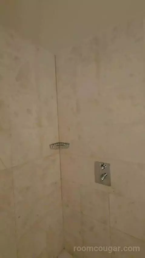 One-Bedroom Suite with Water View (#1901) bathroom picture #6