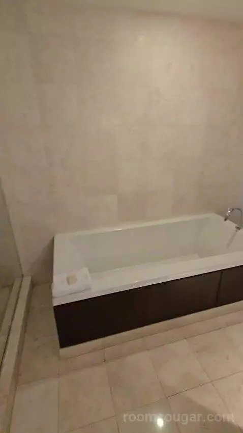 One-Bedroom Suite with Water View (#1901) bathroom picture #4