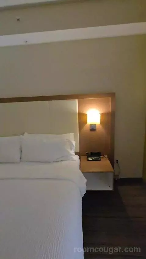 King Suite (#113) bed picture #9