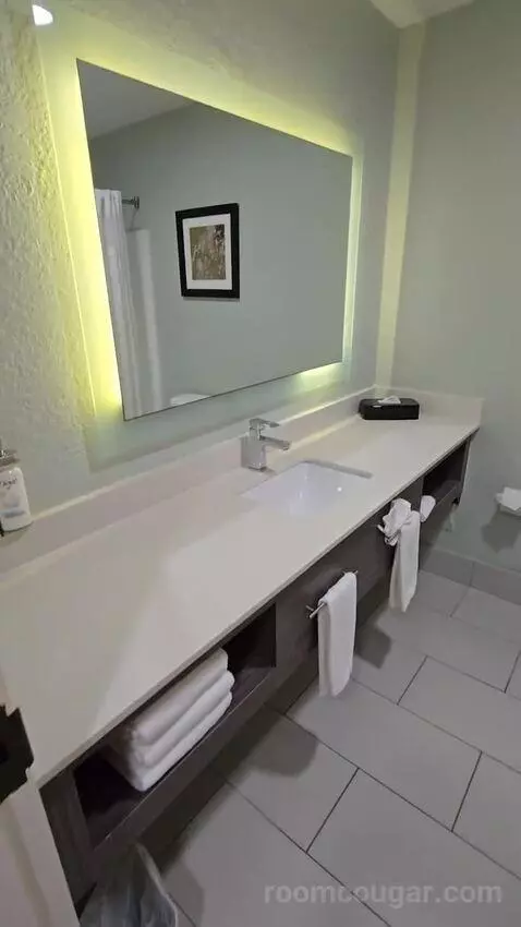 King Suite (#113) bathroom picture #3