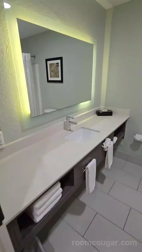 King Suite (#113) bathroom picture #4
