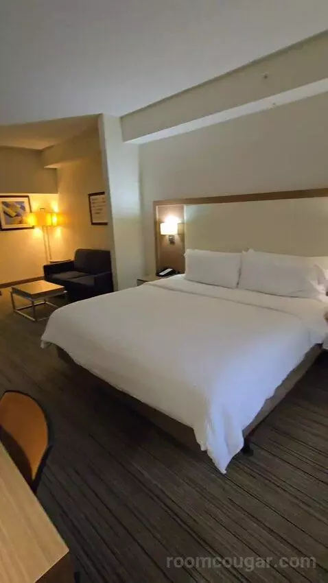 King Suite (#113) bed picture #12