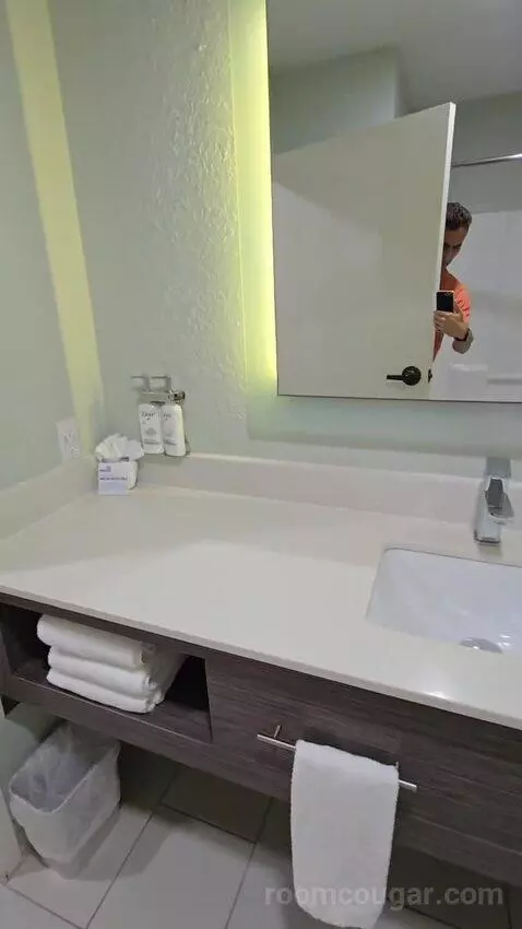 King Suite (#113) bathroom picture #9