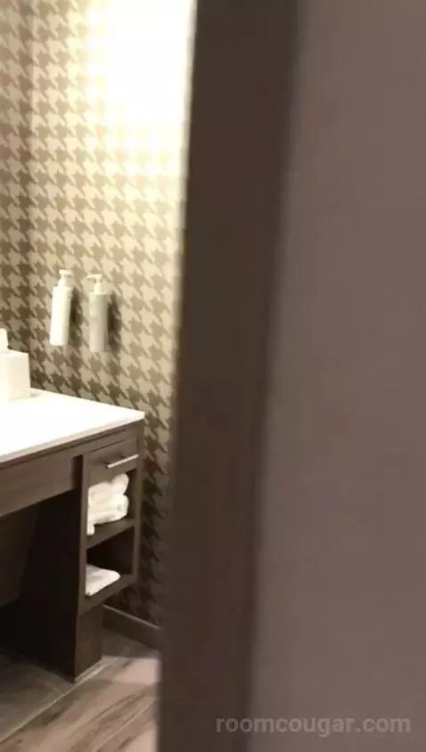King Studio - Mobility and Hearing Access (#402) bathroom picture #1