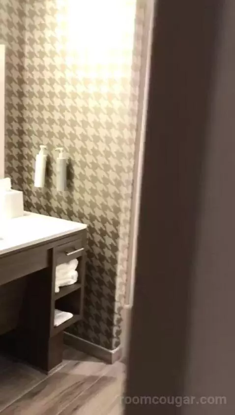 King Studio - Mobility and Hearing Access (#402) bathroom picture #2