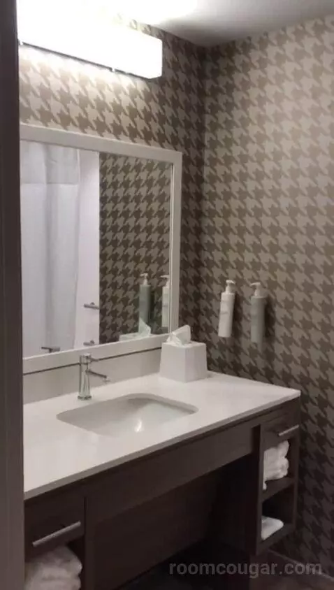 King Studio - Mobility and Hearing Access (#402) bathroom picture #3