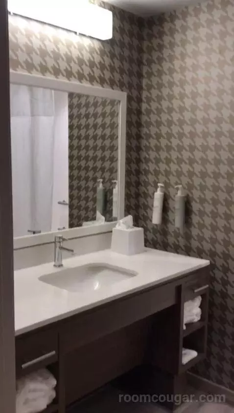 King Studio - Mobility and Hearing Access (#402) bathroom picture #4