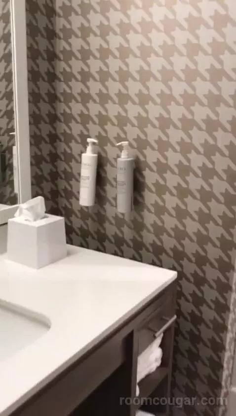 King Studio - Mobility and Hearing Access (#402) bathroom picture #6