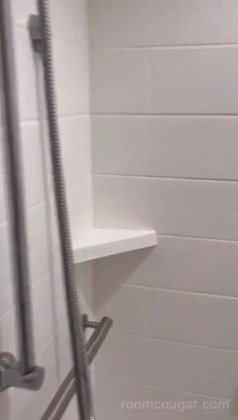 King Studio - Mobility and Hearing Access (#402) bathroom picture #7