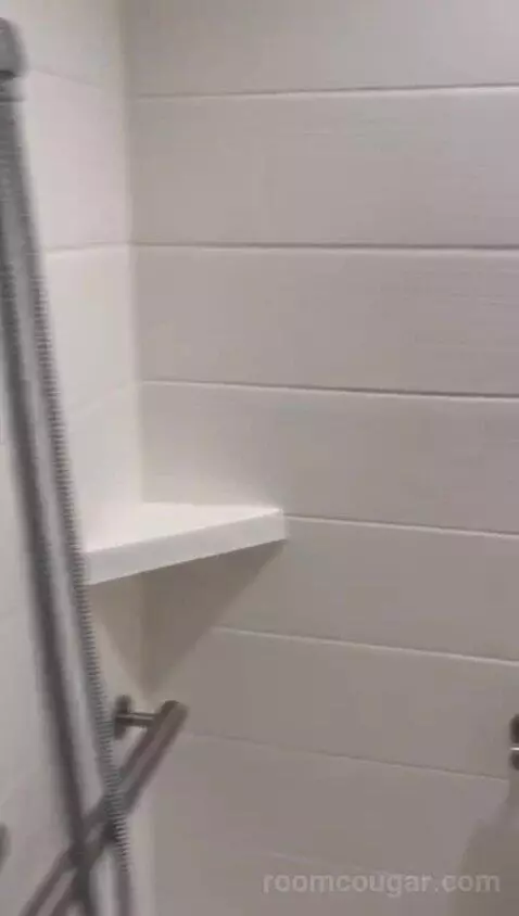 King Studio - Mobility and Hearing Access (#402) bathroom picture #8