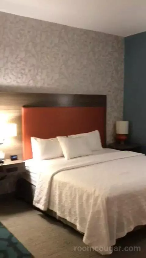 King Studio - Mobility and Hearing Access (#402) bed picture #9