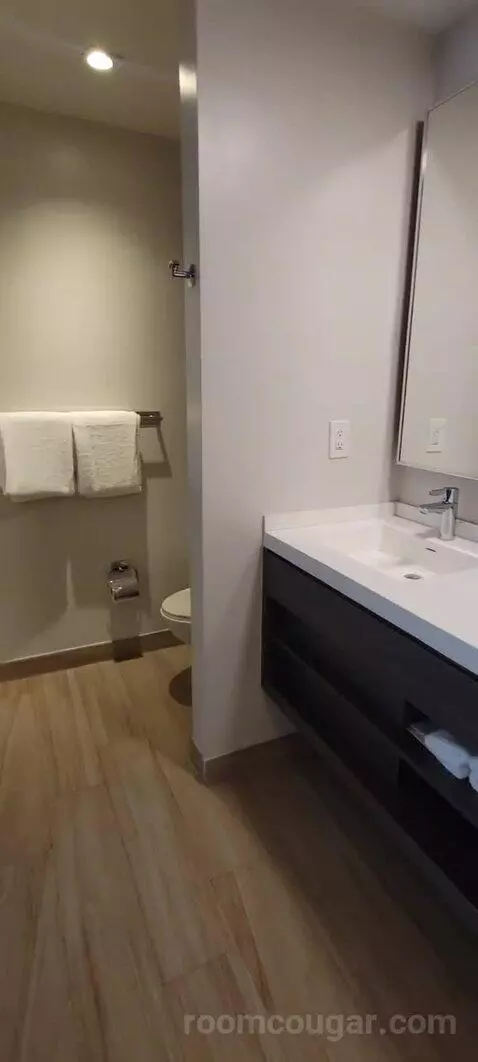 One Bedroom Centric Suite (#221) bathroom picture #1