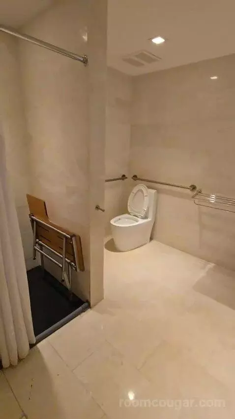 Premium City View King Accessible (#118) bathroom picture #1