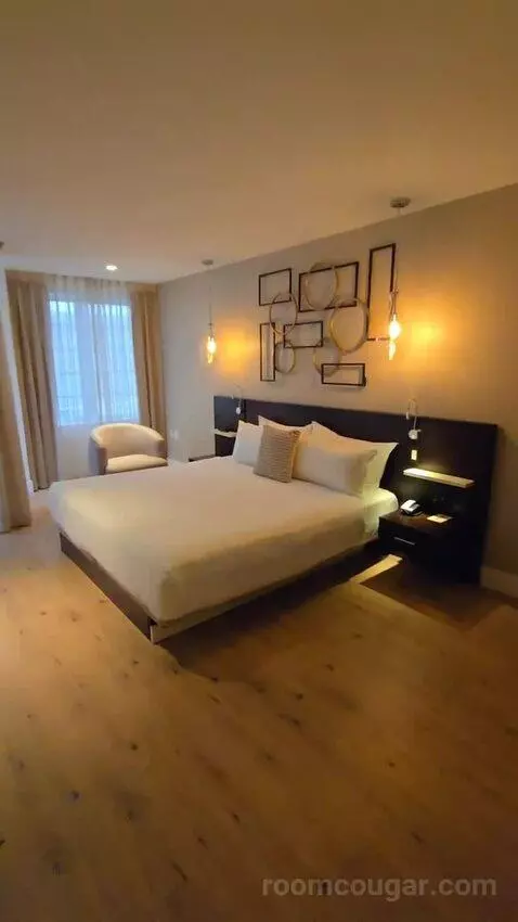 Premium City View King Accessible (#118) bed picture #4