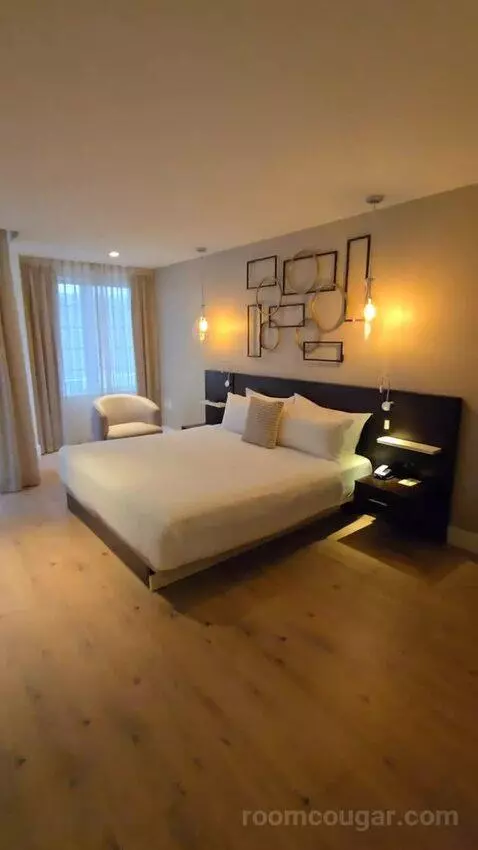 Premium City View King Accessible (#118) bed picture #5