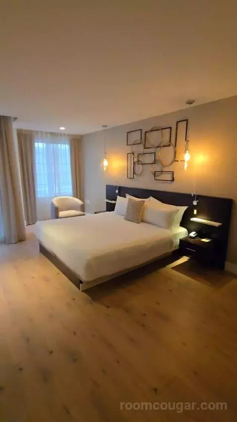 Premium City View King Accessible (#118) bed picture #6