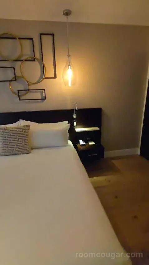 Premium City View King Accessible (#118) bed picture #8