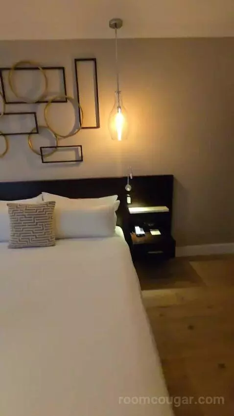 Premium City View King Accessible (#118) bed picture #9