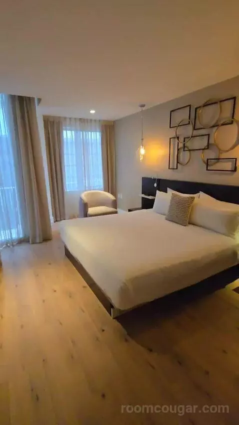 Premium City View King Accessible (#118) bed picture #10