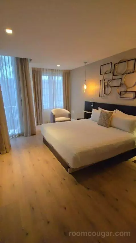 Premium City View King Accessible (#118) bed picture #12