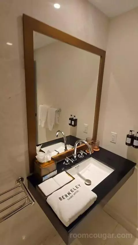 Premium City View King Accessible (#118) bathroom picture #5