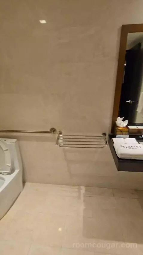 Premium City View King Accessible (#118) bathroom picture #6